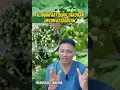 Download Lagu 10 MANFAAT BUAH TAKOKAK UNTUK KESEHATAN #tipsbuatkamu #tiktokhealth #hidupsehat #hidupsehat #fy