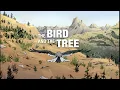 The Bird and The Tree