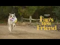 Cinemark Movie Rewards - Fan s Best Friends 2024-2026 Extended Version