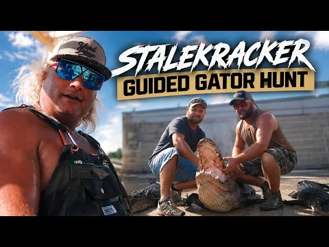 Hunting Louisiana Gators in the Swamp!