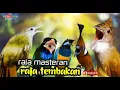 Download Lagu raja masteran raja tembakan ngedur panjang cililin-cungkok -katem - tengkek-jenggot