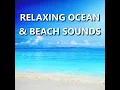Dynamic Oceanfront Beach Sounds