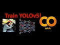 Driver Drowsiness Detection using YOLOv5 Train on Google Colab