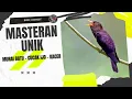 Download Lagu MASTERAN UNIK UNTUK MURAI BATU - CUCAK IJO - KACER | VIOLET CUCKOO