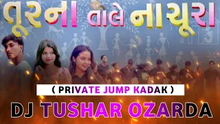 tur na tale nachura private jump kadak dj tushar ozarda