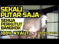 Download Lagu PANCINGAN PERKUTUT BANGKOK GACOR AGAR BUNYI 100% AMPUH UNTUK PANCINGAN DURASI PANJANG LIVE
