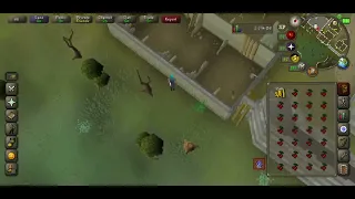 Make your own dye s Free to play money maker Oldschool Runescape F2P Mobile OSRS