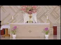 Download Lagu Santa Missa Ao Vivo - TV Canção Nova