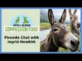 Journey Around the World Meet the Animals PETA s Global Compassion Fund Supporters Helped Save