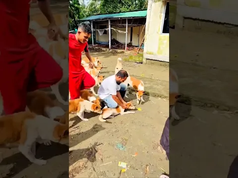 Kindness To Dog ❤️🥲 #save #rescue