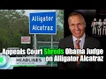Download Lagu Appeals Court SLAMS Obama Judge Over Alligator Alcatraz #florida #trump #alcatraz #alligator #judge