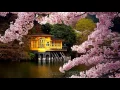 Download Lagu Beautiful spring nature flower in Japan (HD1080p)