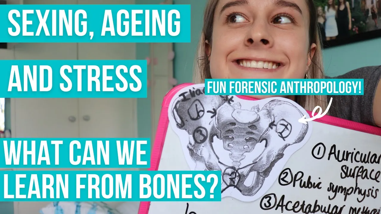 What can bones tell us? - Intro to Bioarchaeology Episode 2, Pelvis & the Skull