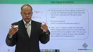 Python - User Input