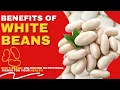 Benefits of White Beans White Beans Unveiled Exploring the Nutritional Goldmine
