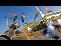 Lagu Pin Point Aim, Clean Silent Shot – Ultimate Pigeon Hunting Action
