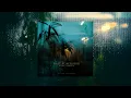Kora, Adriēn - Nuit d'Afrique (Original Mix) [Official Video]