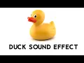 Toy Duck Sound Effect | Best Quality | The Effects Shop |