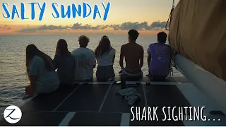 Visited By A Shark While Bow Dragging?! (Salty Sunday Ep. 2)