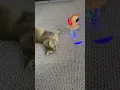 Download Lagu https://vt.tiktok.com/ZSAykwPjG/
