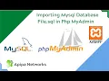 Import MySQL database file from a Developer s Source Code to a localhost XAMPP Server PHP MyAdmin