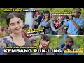 LUEK BEBALU TAOK GIRANG MESAK KAMU PENYEDAK ATE |KEMBANG PUNJUNG LAGU SASAK VIRAL GAZALI ALBA 05 