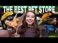 3 PET STORES IN ONE DAY Pet Store Vlog
