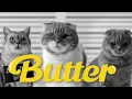 Download Lagu BTS( 방탄소년단) 'Butter' MV  Cover by Cats