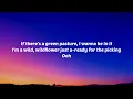 Lainey Wilson - Good Horses (Lyrics) ft. Miranda Lambert