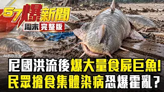 【全集】尼泊爾洪流後印度爆大量「食屍巨魚」！ 民眾搶食集體染「神秘怪病」恐爆霍亂？ -  徐俊相《57爆新聞》2026.09.05