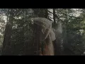 Shallou - Older with Daya (Nomad Visualizer)