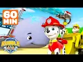 60 Minutes of PAW Patrol Outdoor Adventures w Rubble Marshall Rubble Crew