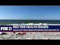 Red tide causing breathing problems along Florida beach