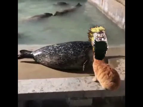 DIO VS Jotaro