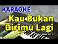 Download Lagu KAU BUKAN DIRIMU - Dewi Yull | KARAOKE HD