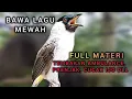 Download Lagu KUTILANG GACOR BAWA LAGU MEWAH TEMBAKAN ISIAN AMBULANCE 100% TERBAIK UNTUK MASTERAN KUTILANG