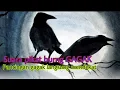 Download Lagu Suara pancingan dan pemanggil burung gagak