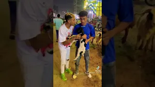 لما يكون صاحبك بيشتري خروف اضحك من قلبك مزيكا  لما يكون صاحبك بيشتري خروف اضحك من قلبك مزيكا