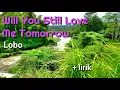 Download Lagu Will You Still Love Me Tomorrow - Lobo lyrics