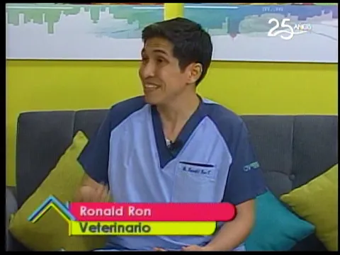 Intoxicación en mascotas