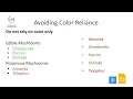 Mandatory Training Digital Accessibility Basics