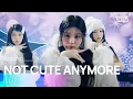 Download Lagu NOT CUTE ANYMORE - ILLIT | SBS 251207 방송 MP3