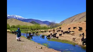 ألاغنية التي يبحت عنها الجميع مصطفى أومكيل  ألاغنية التي يبحت عنها الجميع مصطفى أومكيل