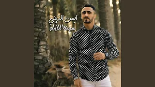ايمن الزيني دندنها