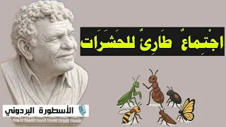 قصيدة ساخرة للبردوني اجتماع طارئ للحشرات  قصيدة ساخرة للبردوني اجتماع طارئ للحشرات