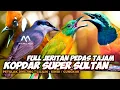 Download Lagu KOPDAR FULL JERITAN PEDAS TAJAAM || KOMBINASI PETULAK JINGJING CILILIN KINOI CUCAK CUNGKOK