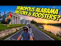 Touring Demopolis Alabama I 1800s Historic River Town