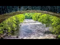 7 minutes relaxation music,meditation music 7 minutes
