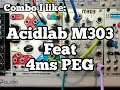 Combo I Like Acidlab M303 Feat 4ms Pingable Envelope Generator for Eurorack Synth Acid Modulation