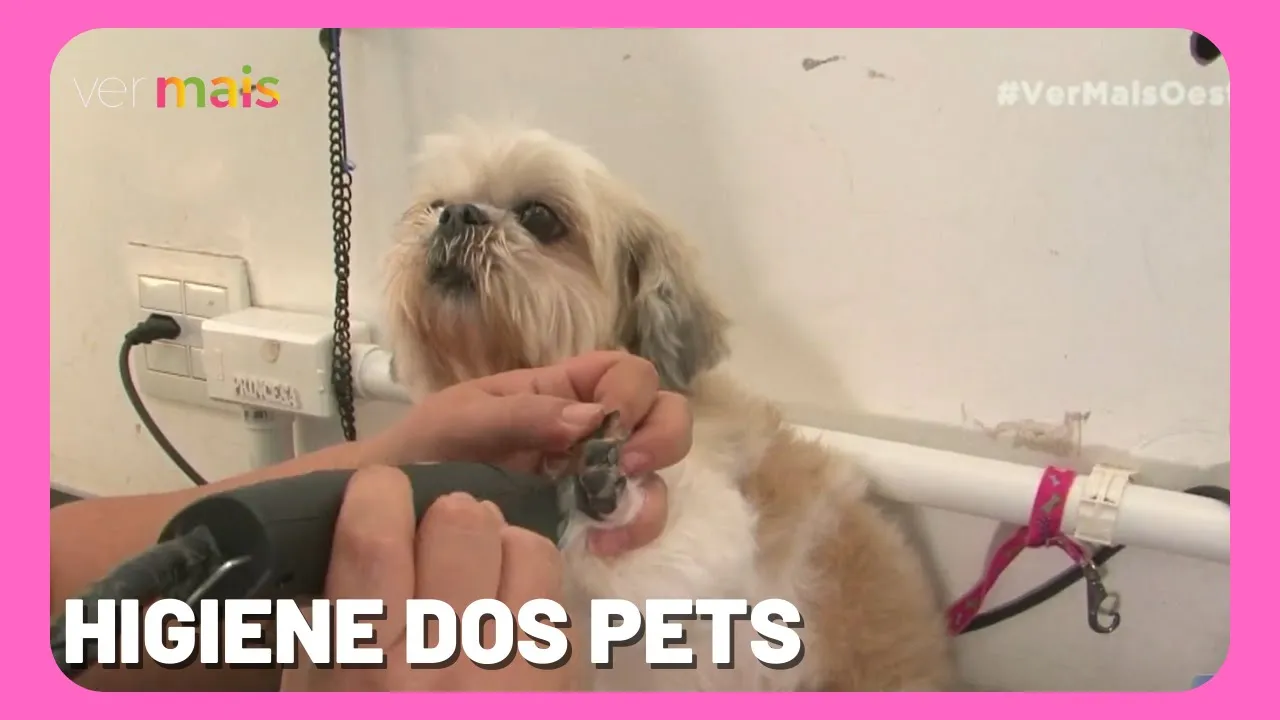 Cuidado com a higiene dos pets não é apenas uma questão de beleza